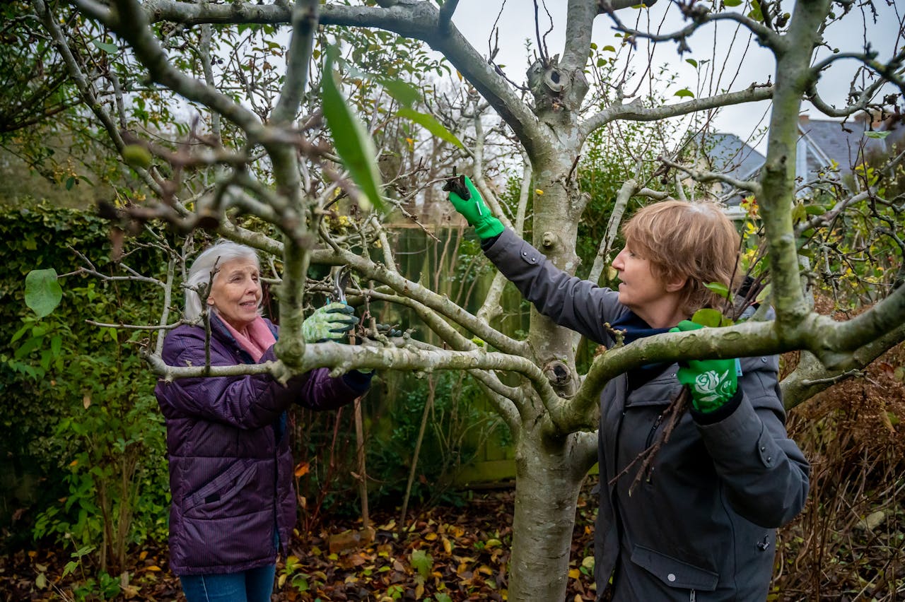 Two elderly women pruning tree branches in a garden during autumn.